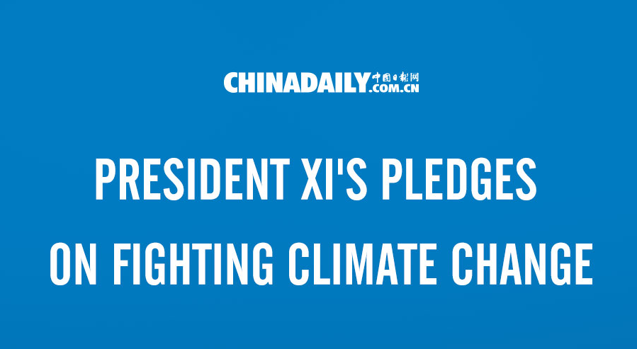  President Xi's pledges on fighting climate change